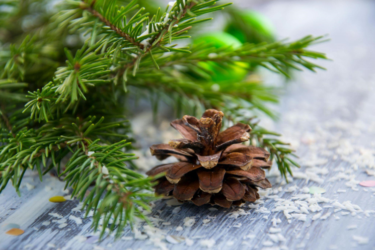 What Size Christmas Tree Should You Get For a 9-foot Ceiling? Woodworking Tips from Home Depot